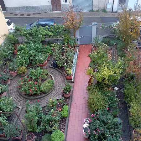 Casa Palmira Apartman Arezzo
